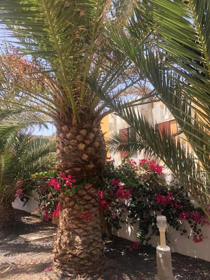 Apartamento Sunny Complex Amaya Fuerteventura Коста-де-Антіґуа Екстер'єр фото