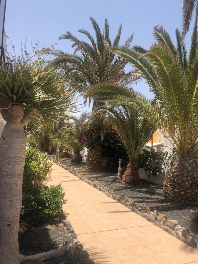 Apartamento Sunny Complex Amaya Fuerteventura Коста-де-Антіґуа Екстер'єр фото